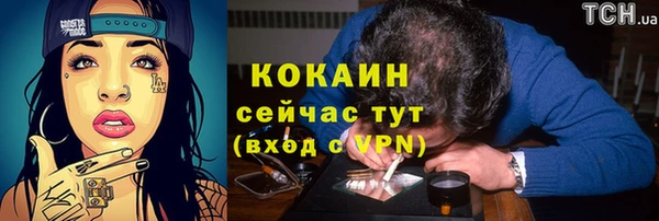 стафф Богородицк