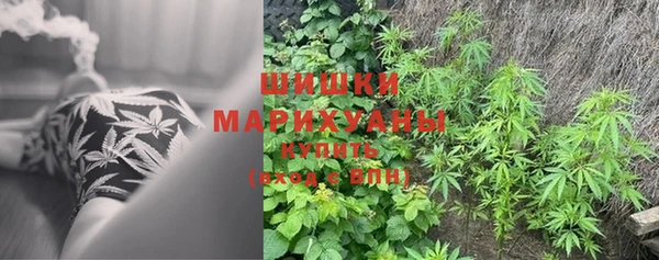 mdpv Богданович