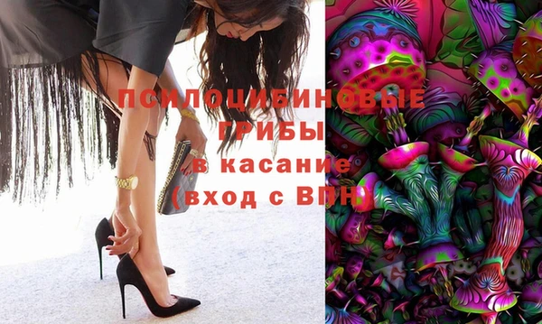 mdpv Богданович