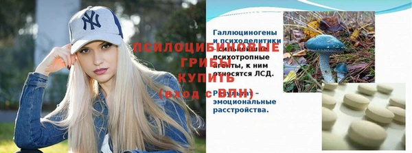 mdpv Богданович