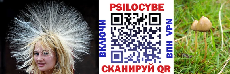 Галлюциногенные грибы мухоморы  Киржач 